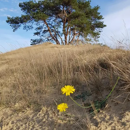 Knus Relaxchalet Met Privé Hottub Apartment