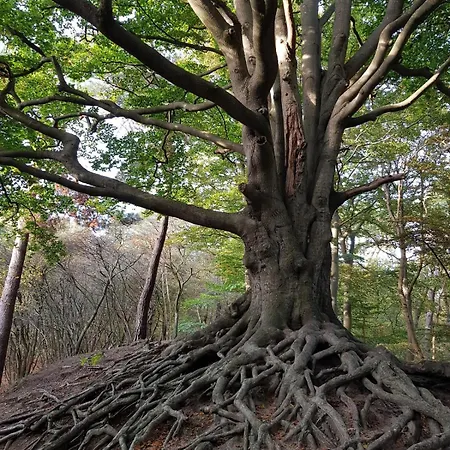 Relax With Hottub アパート *