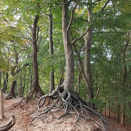 Knus Relaxchalet Met Privé Hottub * Voorthuizen