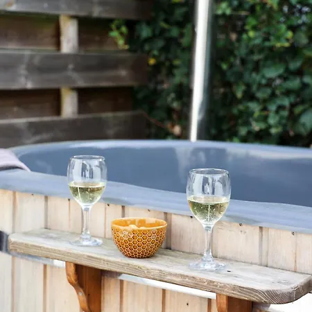 Knus Relaxchalet Met Prive Hottub Апартаменты Вортхёйзен